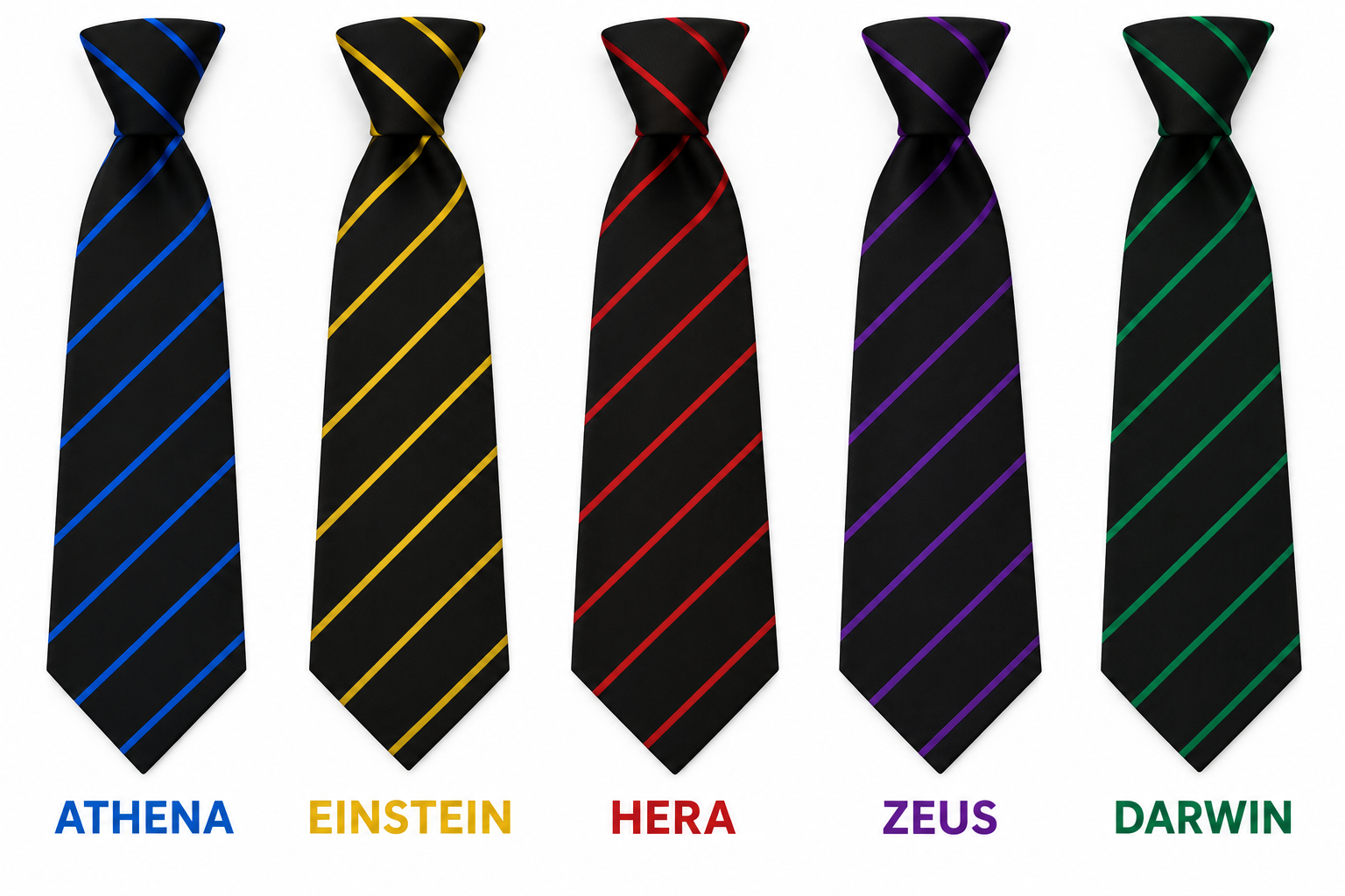 House Ties